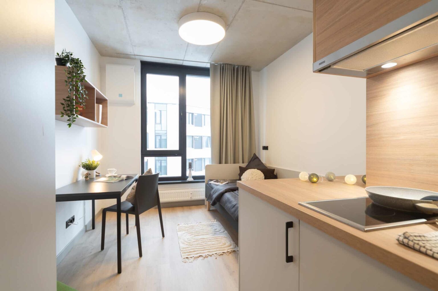 Shed Co-Living 2
